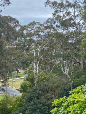 Tathra Views